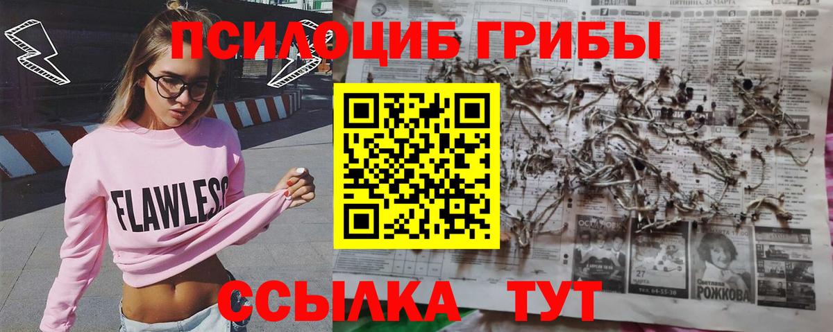 Курган  Галлюциногенные грибы Psilocybe  Вход с VPN  Галлюциногенные грибы MAGIC MUSHROOMS 